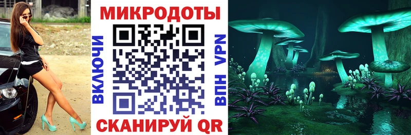 Купить где  Боготол  Псилоцибиновые грибы GOLDEN TEACHER 